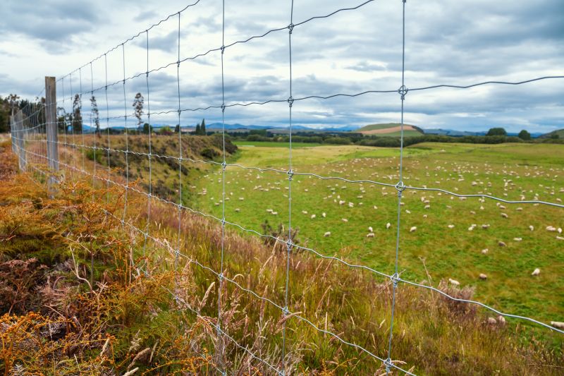Hog Wire Fence Installation