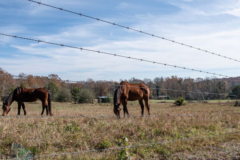 Hog Wire Fence Installation