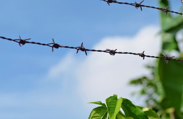 Barb Wire Installation