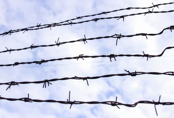 Barb Wire Fencing Repair