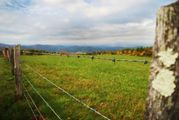Wire Fencing Repair